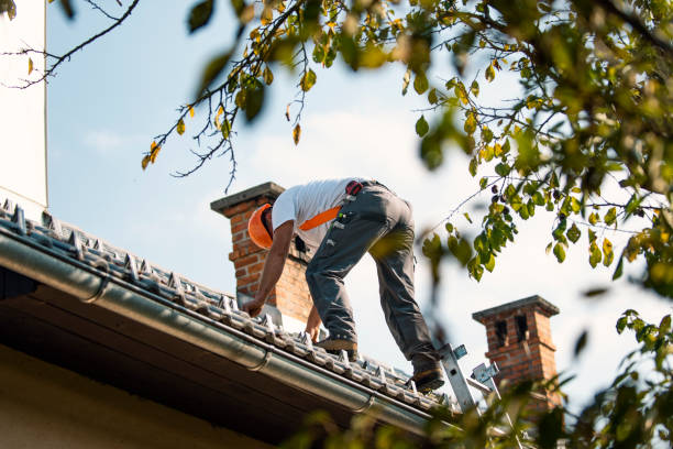 Best Metal Roofing Contractor  in Byron, IL