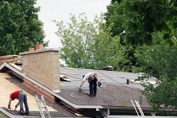 Professional Roofing Contractor in Byron, IL