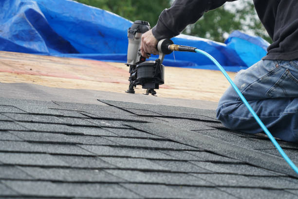 Best Roof Gutter Cleaning  in Byron, IL